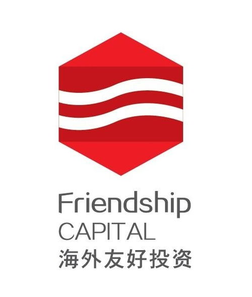廣東海外友好投資管理 專業(yè)服務(wù)與未來(lái)展望